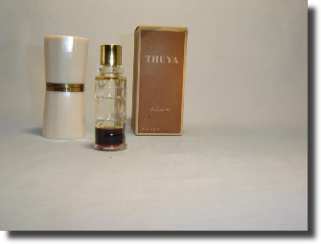 Thuya