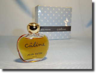 Caline