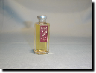 Oeillet Mignardise 