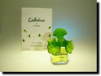 Cabotine